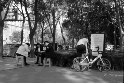 Casino Fiz Farsímaforrit